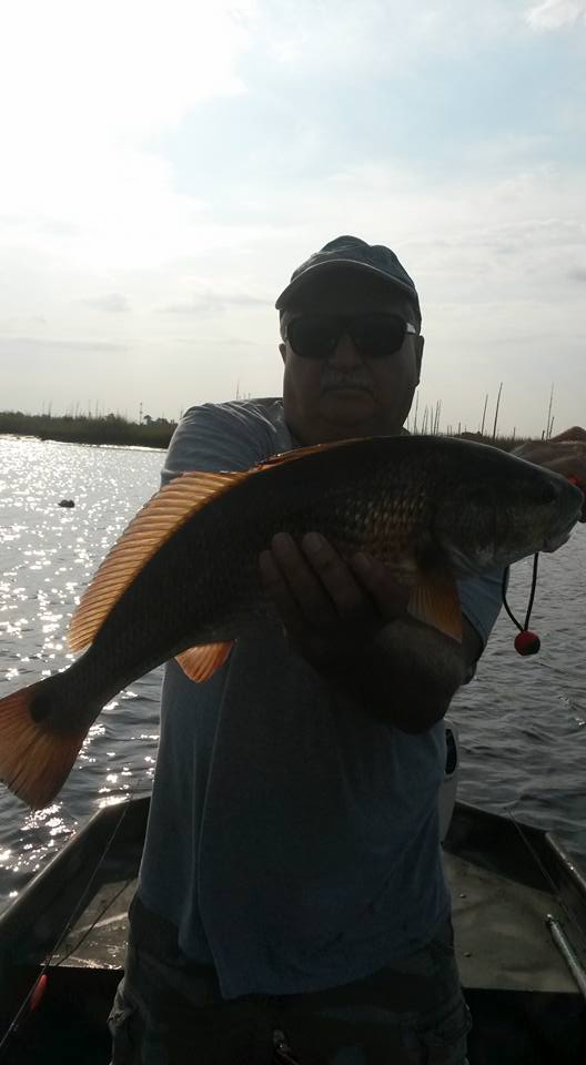 Cape Fear River Charters