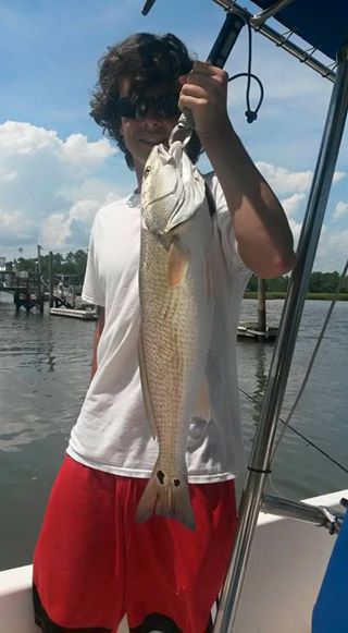 Wilmington fishing charters