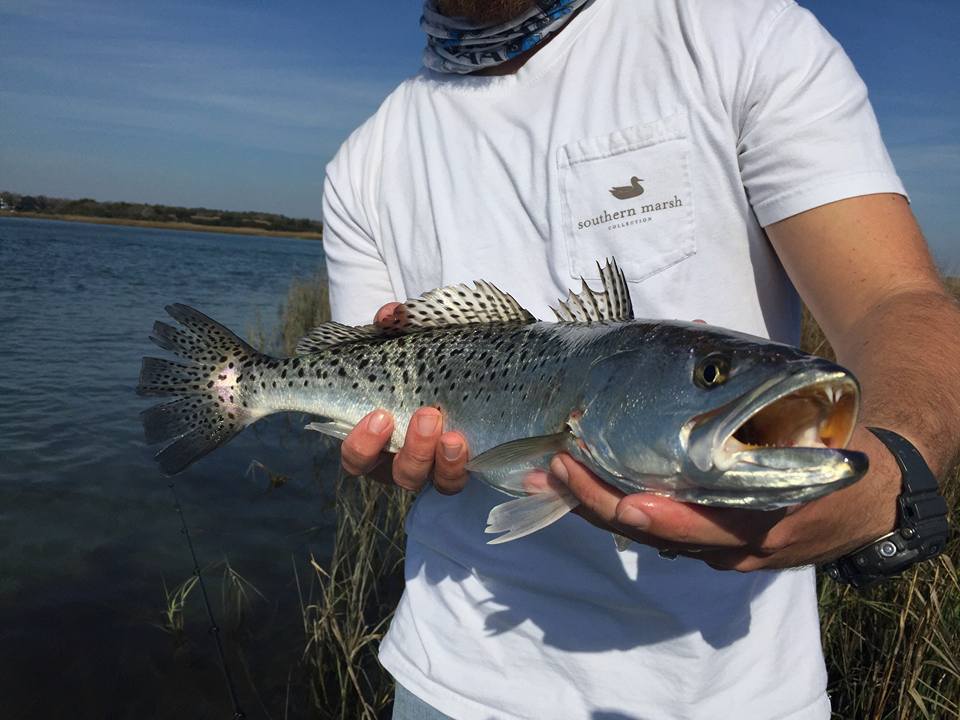 Wilmington Fishing Charters