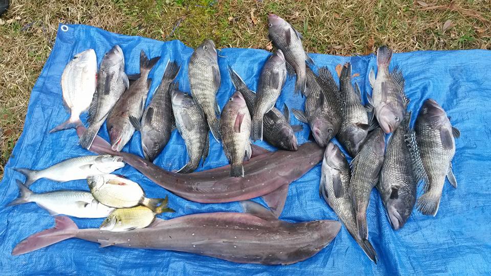 Wrightsville Beach Fishing Charters