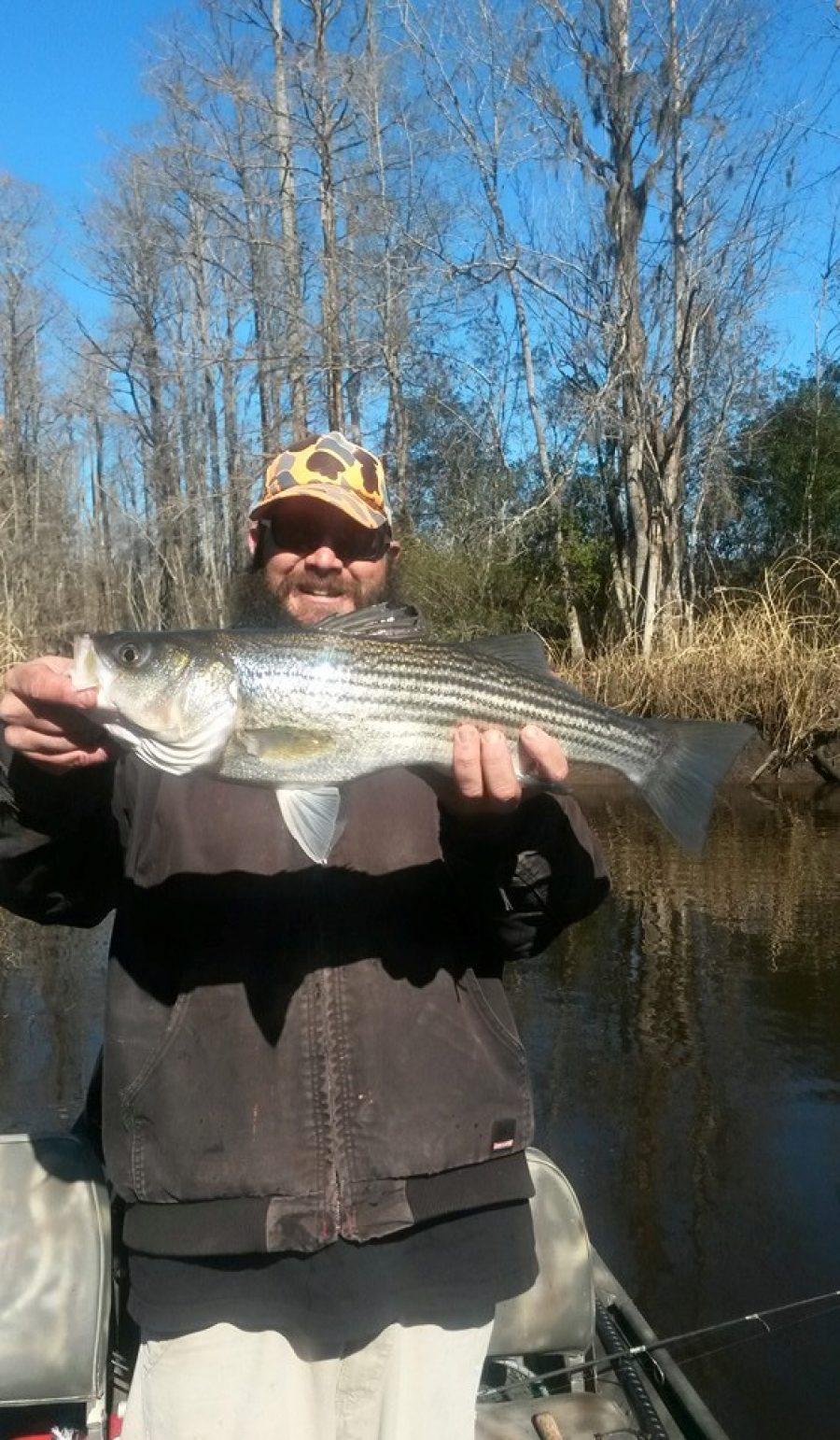 Cape Fear River Striper Fishing