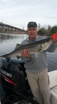 Cape Fear River Fishing Charters