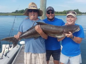 Wilmington Fishing Charters Cobia