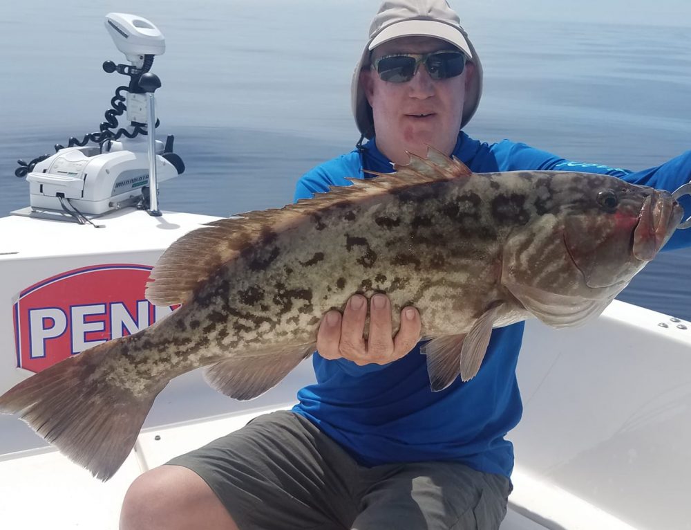 Bass Fishing Sutton Lake A Fine Line Charters